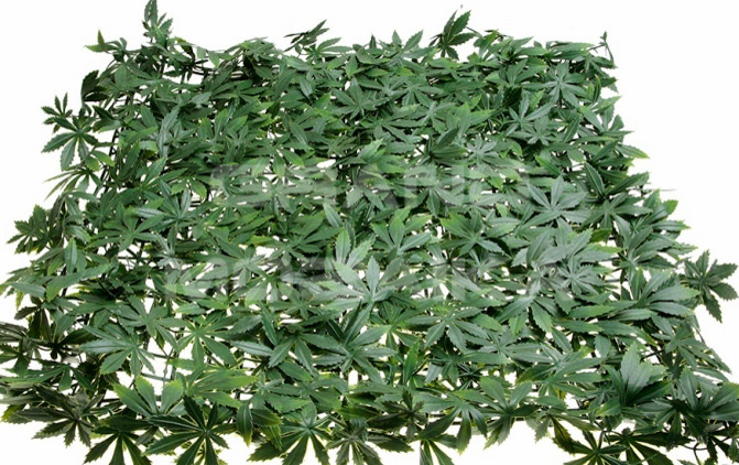 Трава 052286 MZCGZ-06112 серия Grass