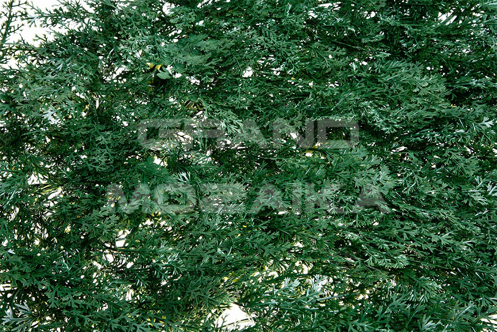 Трава 052280 MZCGZ-06035 серия Grass