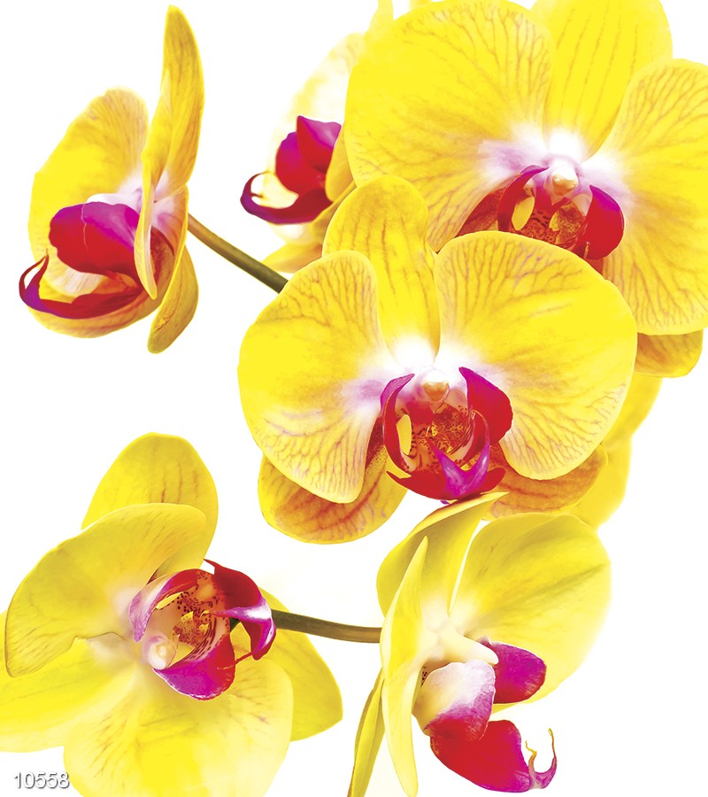 Панно 10558 серия Панно Fa Ro